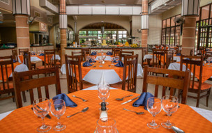 Starfish Cuatro Palmas