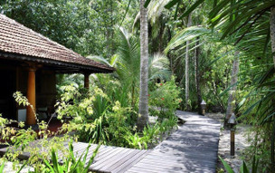 Gangehi Island Resort