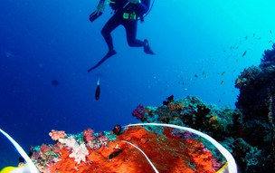 Anantara Veli Maldives