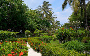 Adaaran Prestige Vadoo