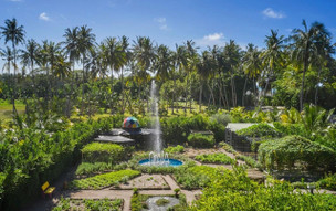 Villa Park Sun Island