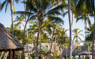 Bluebay Beach Resort & Spa