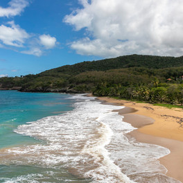 Langley Resort Fort Royal