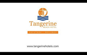 Tangerine Beach Hotel