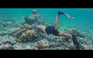 All inclusive Holiday in Furaveri Maldives