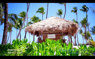 Occidental Punta Cana  | Occidental Hotels & Resorts