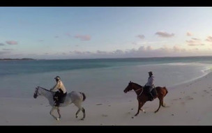 Immersion in LUX* Belle Mare, Mauritius