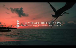 Live the Lily Life | Lily Beach Resort, Maldives