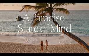 The Cove - A Paradise State of Mind