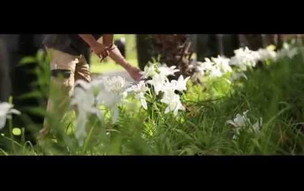 Palm Hotel & Spa*****