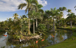 Melia Caribe Beach Resort