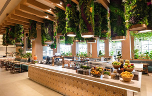 Hard Rock Hotel and Casino