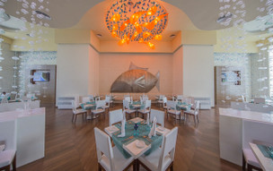 Royalton Splash Punta Cana