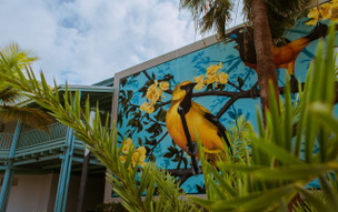 The Mill Resort and Suites