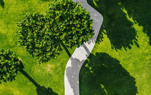 Bucuti and Tara Beach Resorts