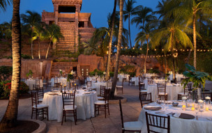 The Cove at Atlantis