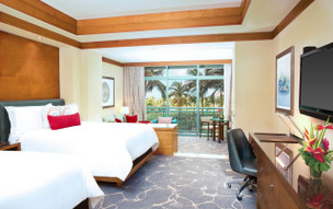 The Cove at Atlantis