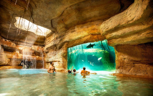 The Coral at Atlantis