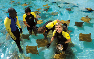 The Royal at Atlantis