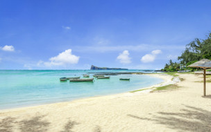 Coin de Mire Attitude