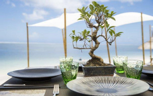 Sugar Beach Mauritius