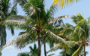 Veranda Palmar Beach