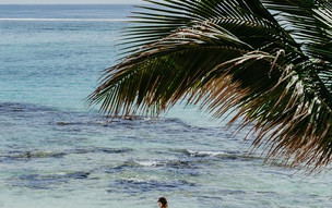 SALT of Palmar, an adult only Boutique hotel