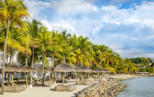 The Ravenala Attitude