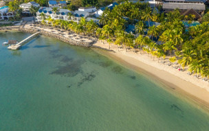 The Ravenala Attitude