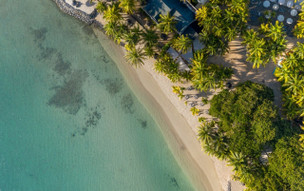 The Ravenala Attitude