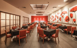 Allegro Playacar Resort