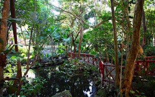 Bahia Principe Grand Coba