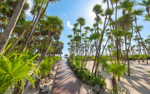 Valentin Imperial Maya