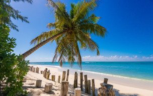 Denis Private Island