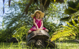 Denis Private Island