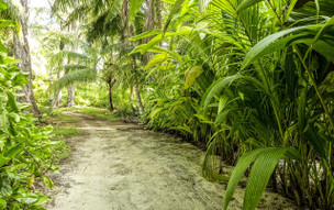 Denis Private Island