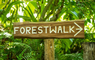 Denis Private Island