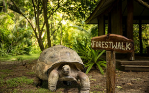 Denis Private Island