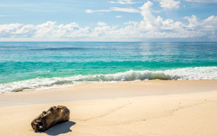 Denis Private Island