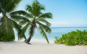 Avani+ Barbarons Seychelles Resort