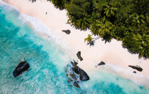 Niva Labriz Seychelles