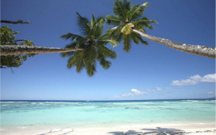 Niva Labriz Seychelles