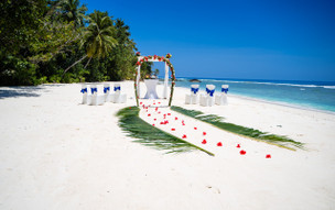 Niva Labriz Seychelles