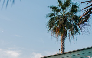 Hyatt Centric Jumeirah Dubai