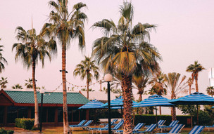 Dubai Marine Beach Resort (9)