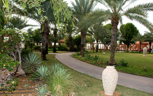 Umm Al Quwain Beach (12)