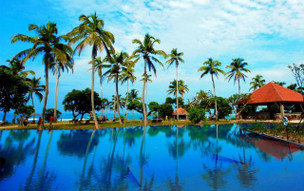 Hikka Tranz by Cinnamon