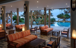 Hikka Tranz by Cinnamon