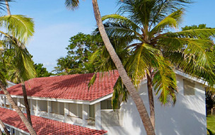 Trinco Blu by Cinnamon