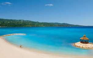 Secrets Wild Orchid Montego Bay by AMR Collection